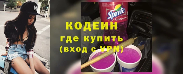 стафф Ельня