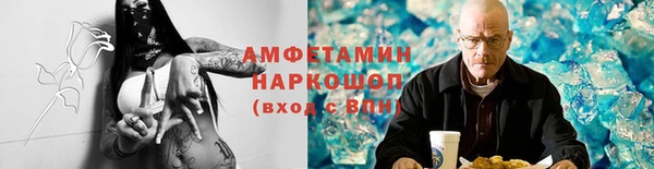 стафф Ельня