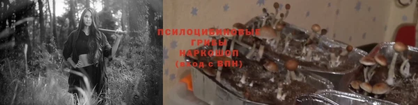 стафф Ельня