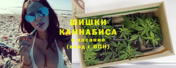 стафф Ельня