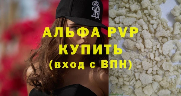 стафф Ельня