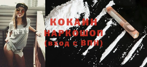 стафф Ельня