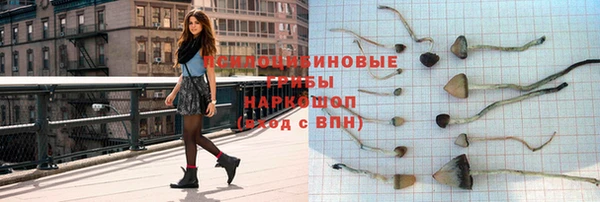 стафф Ельня