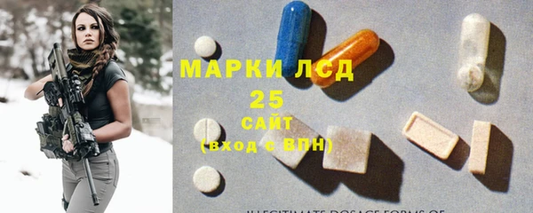 стафф Ельня