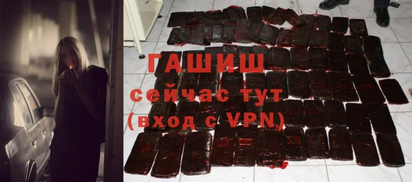 стафф Ельня